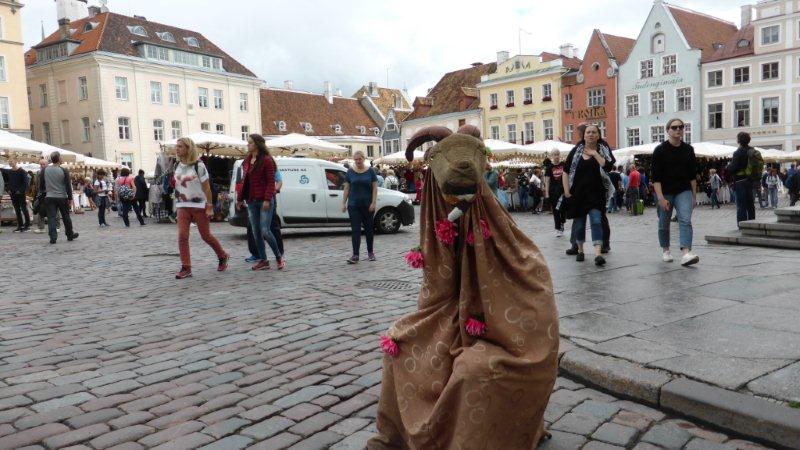 P1000620 - Kopie.JPG